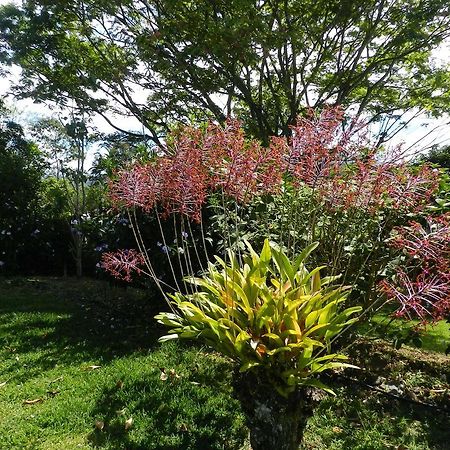 أتيناس El Paraiso Verde B&B المظهر الخارجي الصورة
