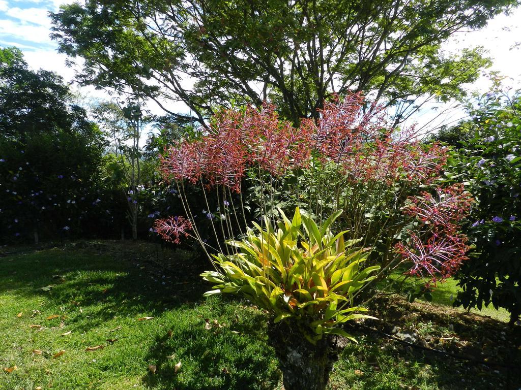 أتيناس El Paraiso Verde B&B المظهر الخارجي الصورة